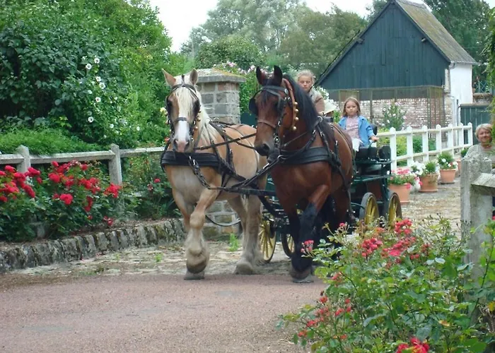 Leval Bed and breakfast 3*